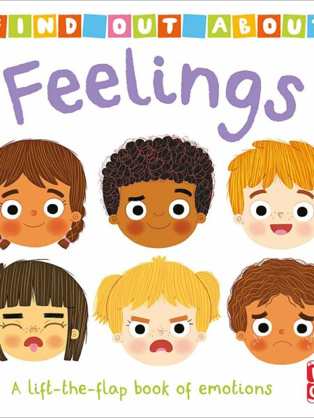 Find Out About Feelings A lift-the-flap book of emotions