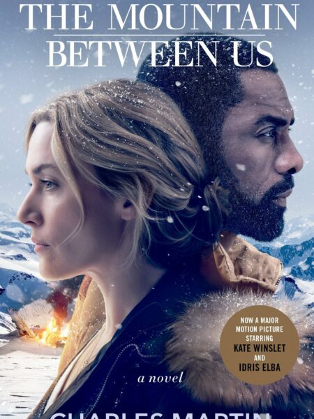 Mountain Between Us