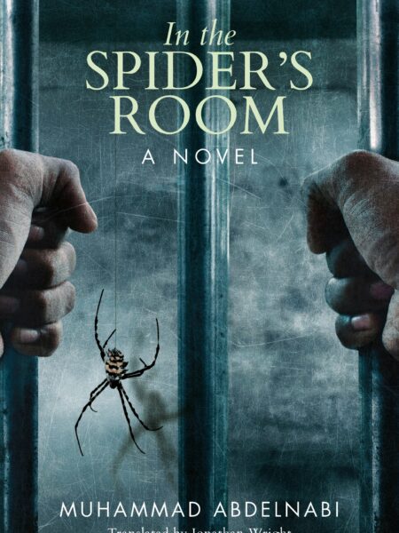 In the Spider's Room