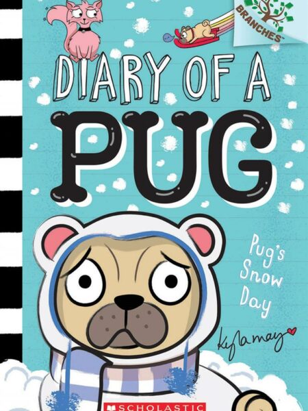Pug's Snow Day