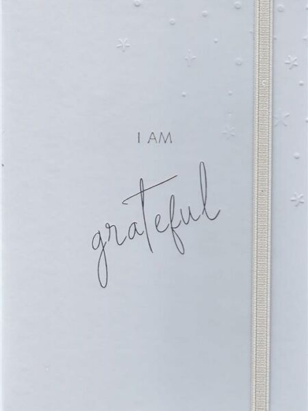 Adults Beige Stars Journal