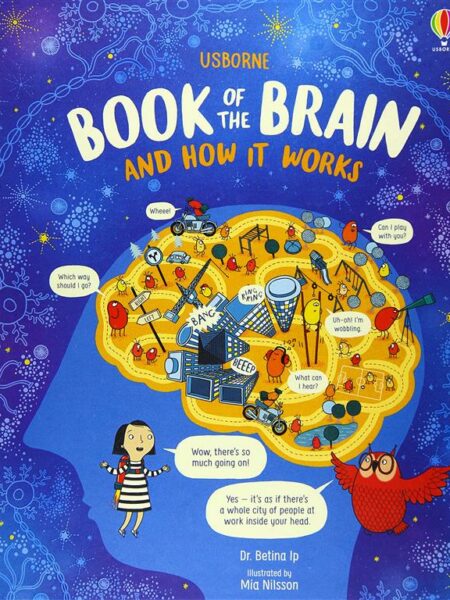 Usborne Book Of The Brain And