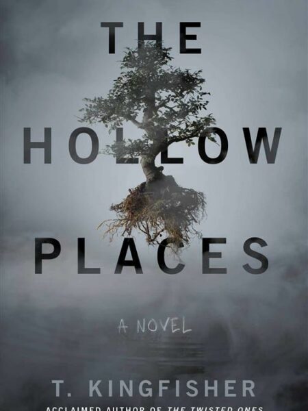 The Hollow Places