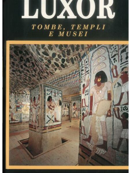Illustrated Guide to Luxor Tom