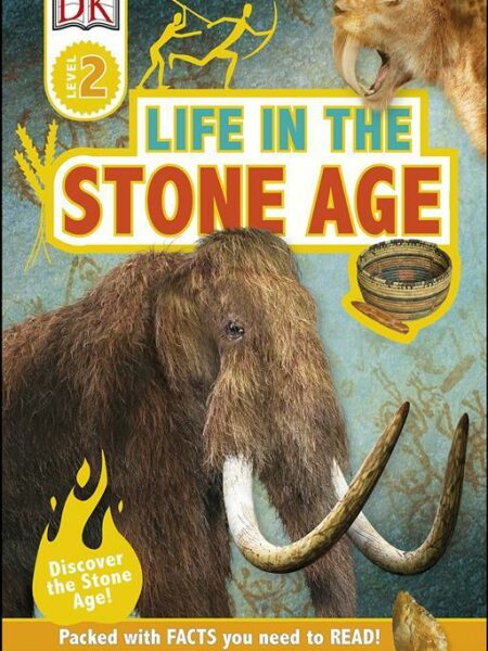 Life In The Stone Age