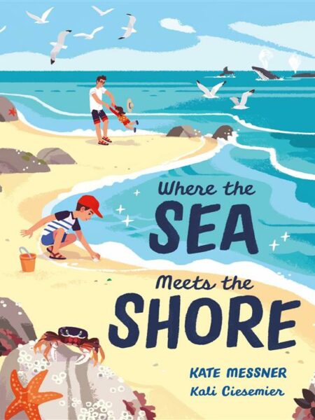 Where the Sea Meets the Shore