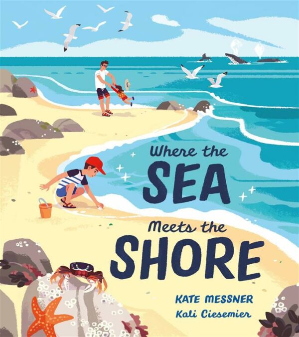 Where the Sea Meets the Shore