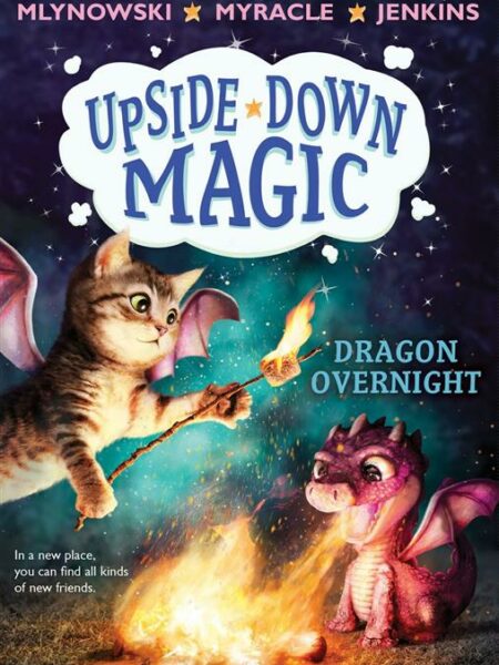 Dragon Overnight