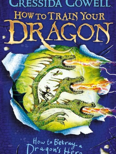 How To Train Your Dragon 11 Ho