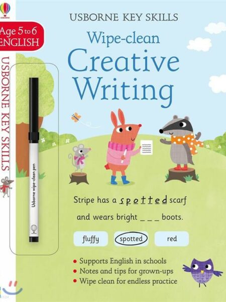 Wipe-Clean Creative Writing 5-