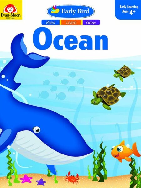Ocean