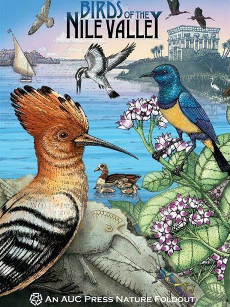 Birds of the Nile Valley