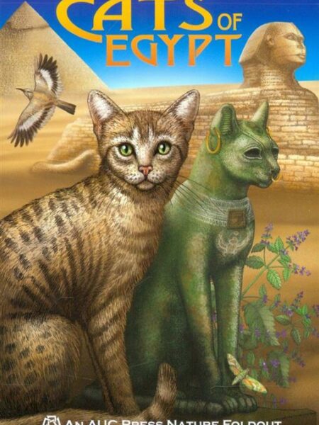Cats of Egypt