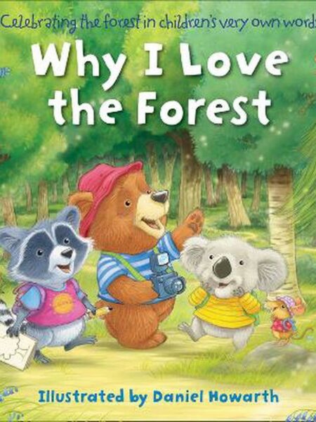 Why I Love the Forest