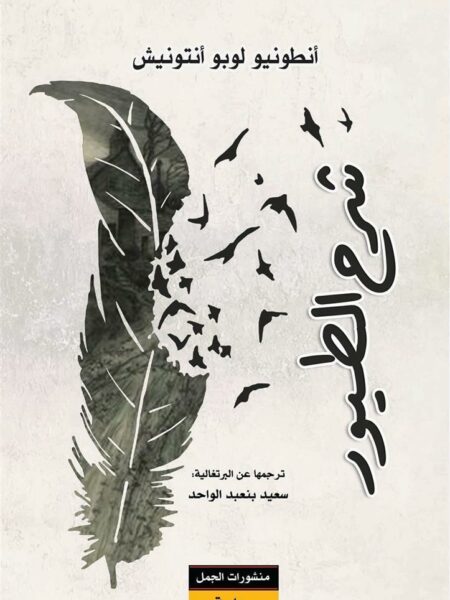 شرح الطيور
