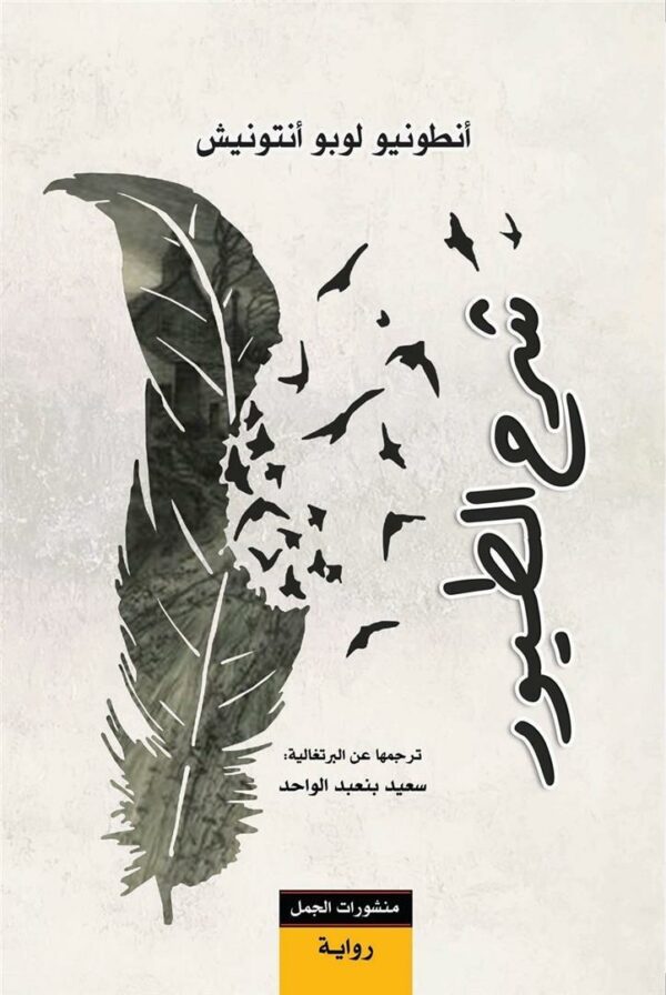 شرح الطيور