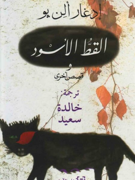 القط الأسود