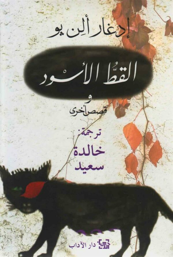 القط الأسود