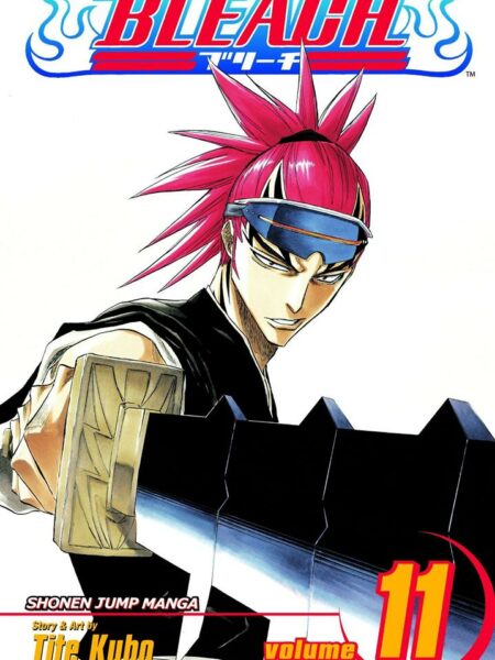 Bleach 11