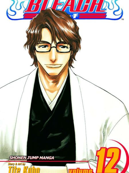 Bleach 12