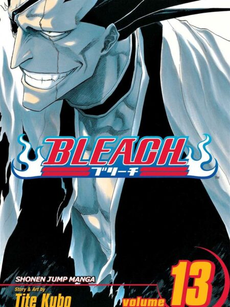 Bleach 13