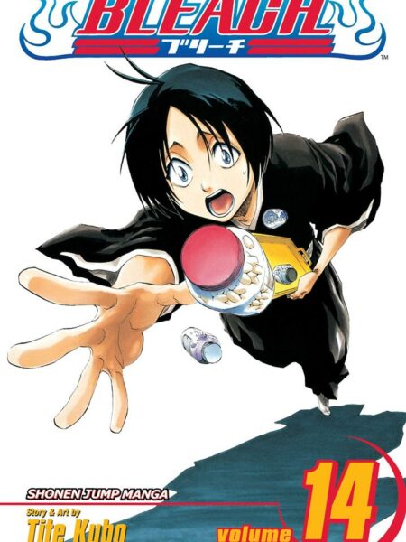 Bleach 14