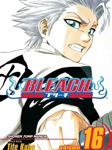 Bleach 16