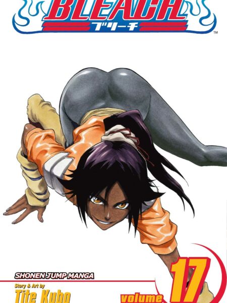 Bleach 17