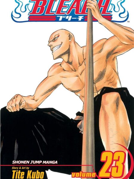 Bleach 23