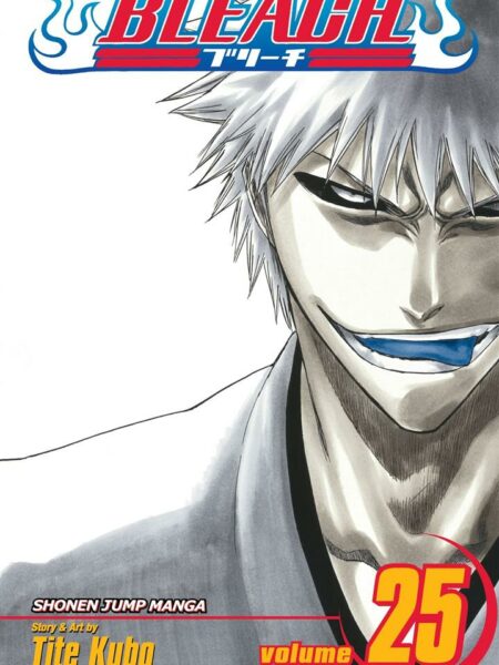 Bleach 25