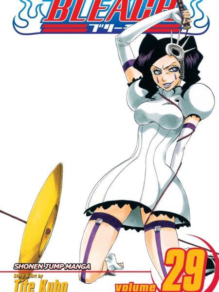 Bleach 29