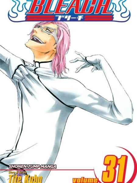 Bleach 31