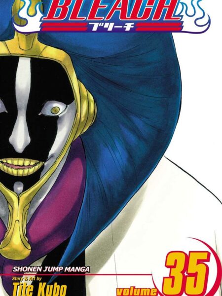 Bleach 35