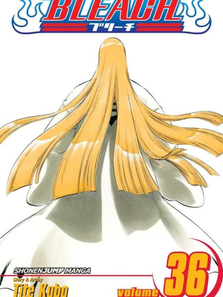 Bleach 36
