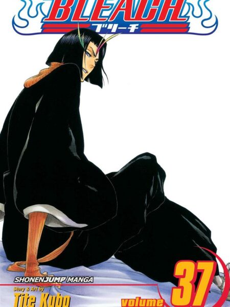 Bleach 37