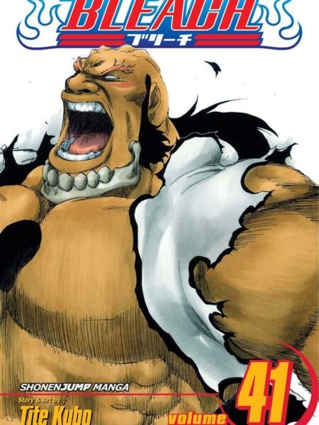 Bleach 41