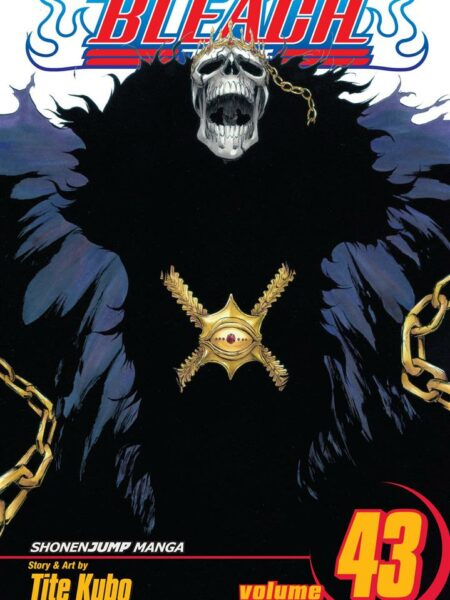 Bleach 43