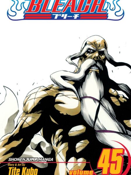 Bleach 45