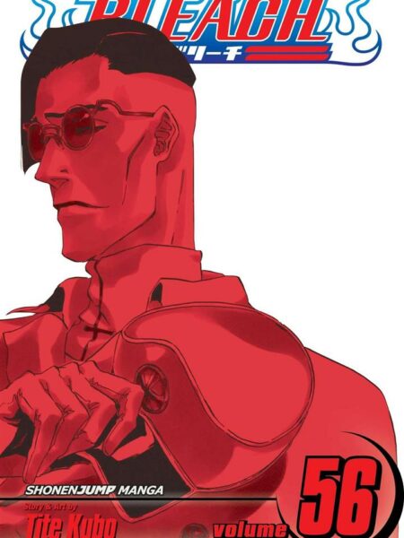 Bleach 56