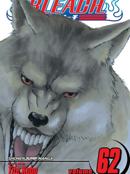 Bleach 62