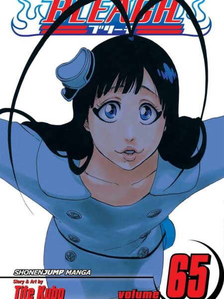 Bleach 65