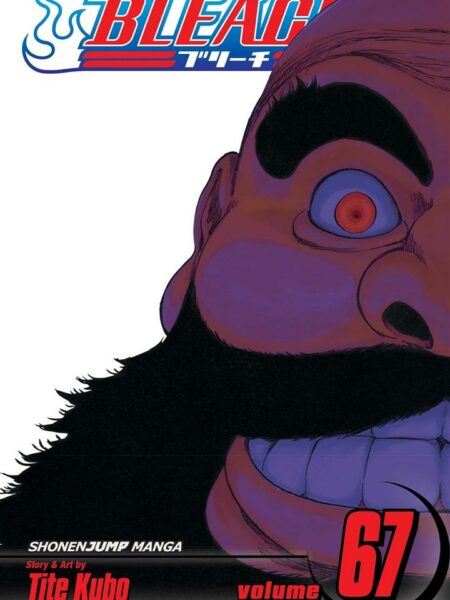 Bleach 67