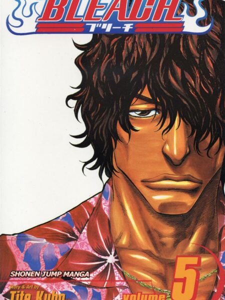 Bleach 5