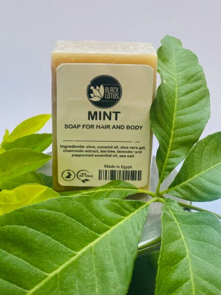 Soap for Hair-Body Tea tree & Mint