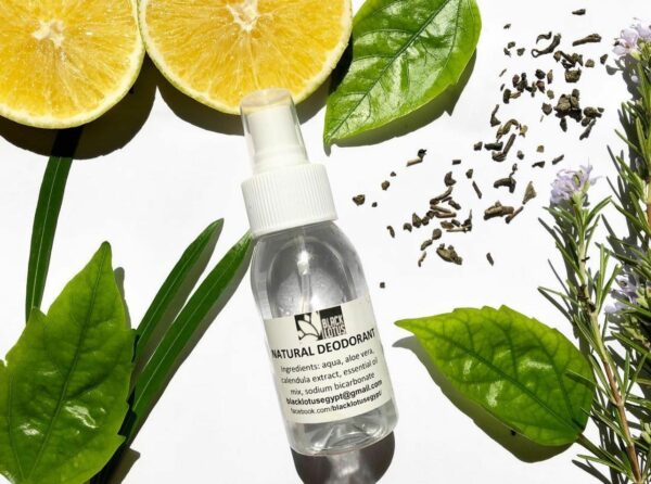 Natural Deodorant Spray 75 ml