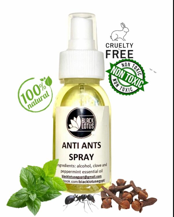 Anti-Ants Spray