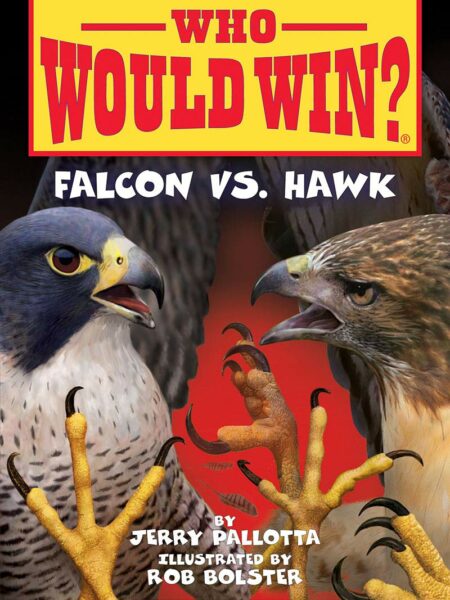 Falcon vs. Hawk