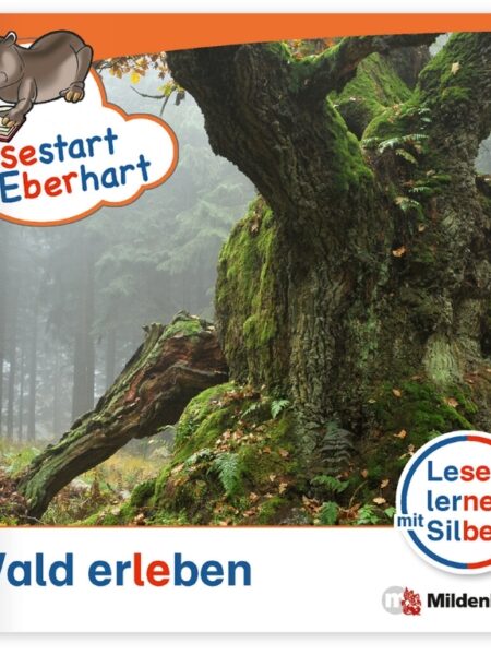 Wald Erleben