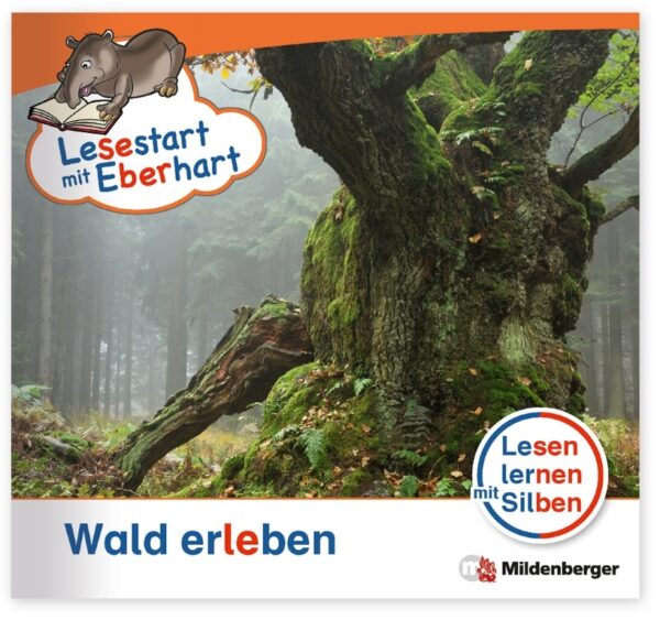 Wald Erleben