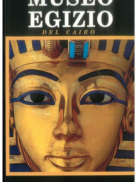 Illustrated Guide ITA